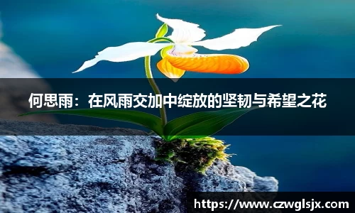 何思雨：在风雨交加中绽放的坚韧与希望之花